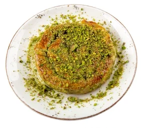 Salted Salmon